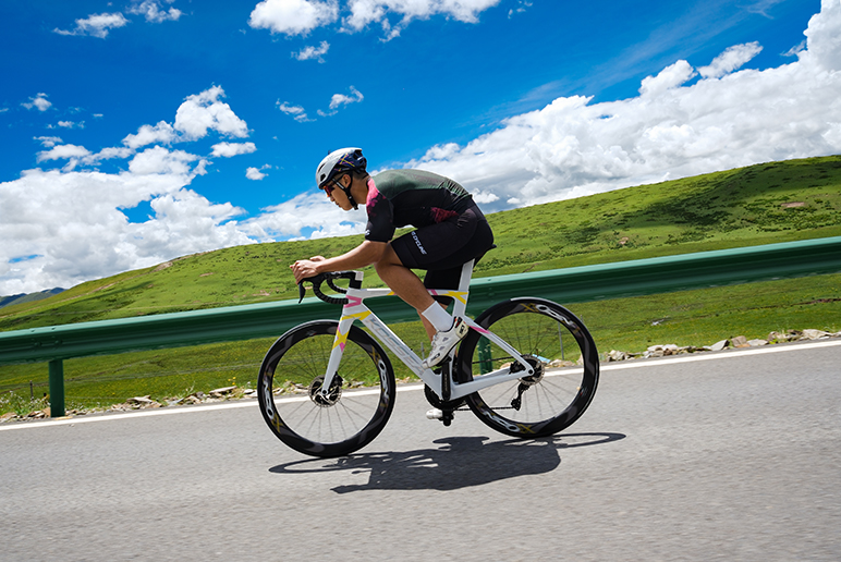 KOSEEA, as a "fellow traveler,"